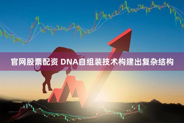 官网股票配资 DNA自组装技术构建出复杂结构